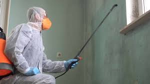 Reliable Oran, MO Mold Removal Services Solutions